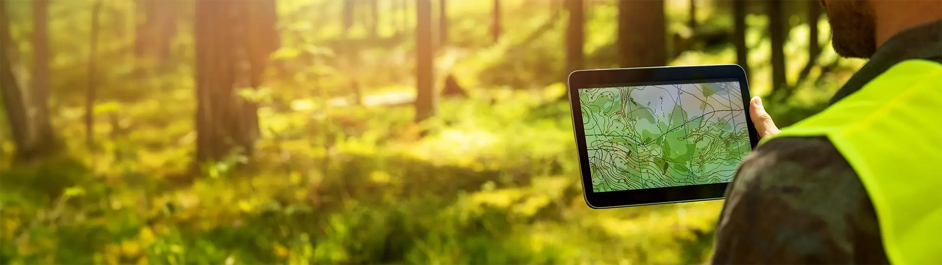 Worker in a forrest looking at a tablet screen which has a land survey on it.
