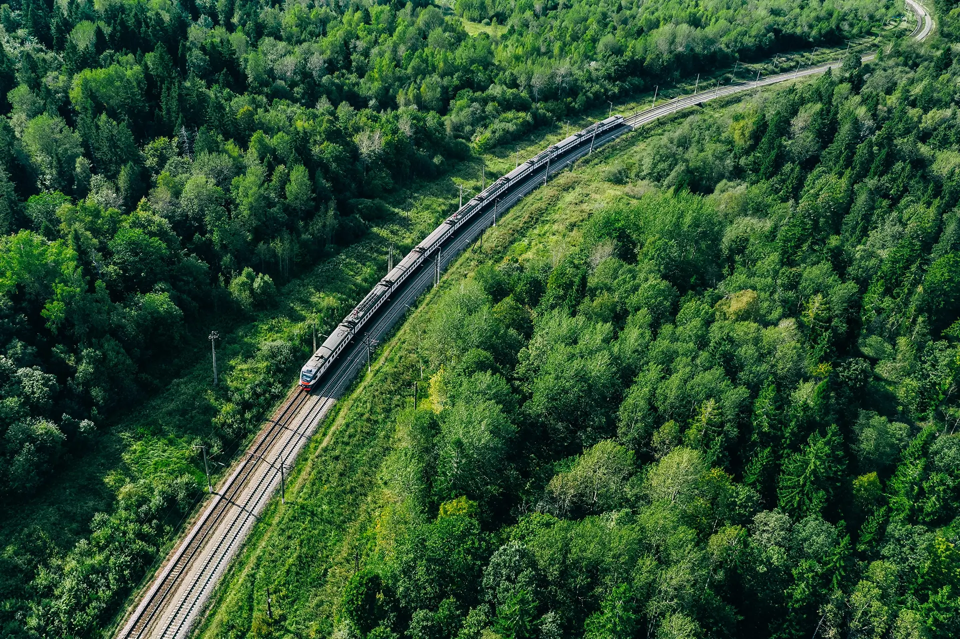 A train track with a train on it winding through a forrest full of trees.